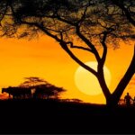 Which Kenya Safaris Are Most Affordable