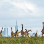 Which Kenya safari park is closest to Nairobi?