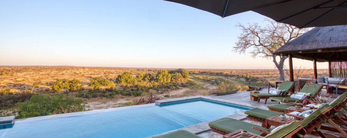 Which Safari Camps Have the Best Wildlife Views