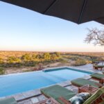 Which Safari Camps Have the Best Wildlife Views