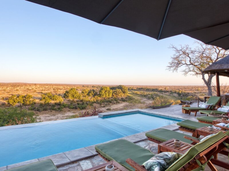 Which Safari Camps Have the Best Wildlife Views