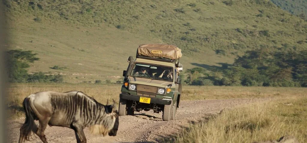 Which Safari Parks in Kenya Are Best for Honeymooners