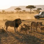 Which Safari Parks in Kenya Are Worth Visiting in 2026
