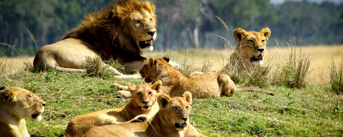 Which Tsavo park is better east or west