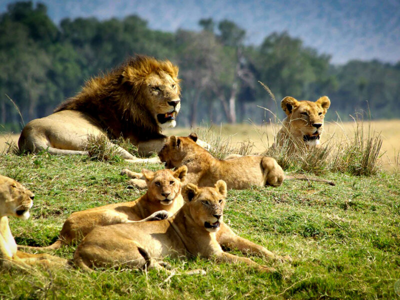 Which Tsavo park is better east or west
