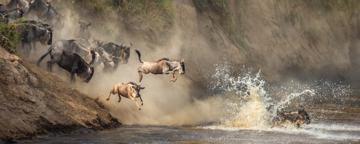 Which Month Has Mara River Crossings