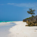 How Many Days Do I Need for Zanzibar and Safari
