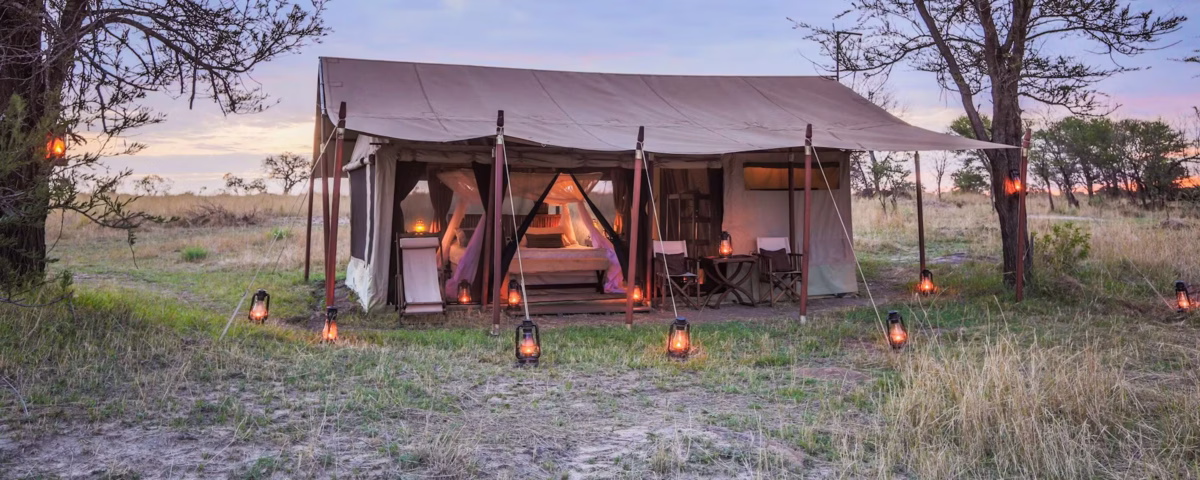 Which Serengeti Camps Are Best for Migration