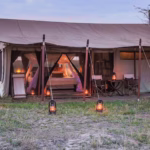 Which Serengeti Camps Are Best for Migration