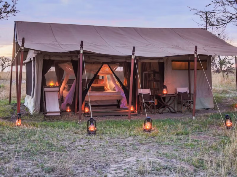 Which Serengeti Camps Are Best for Migration