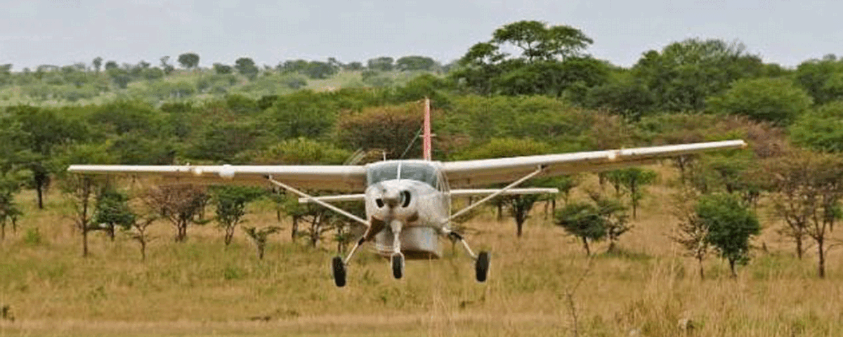 Can I Fly from Zanzibar to Serengeti