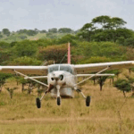 Can I Fly from Zanzibar to Serengeti