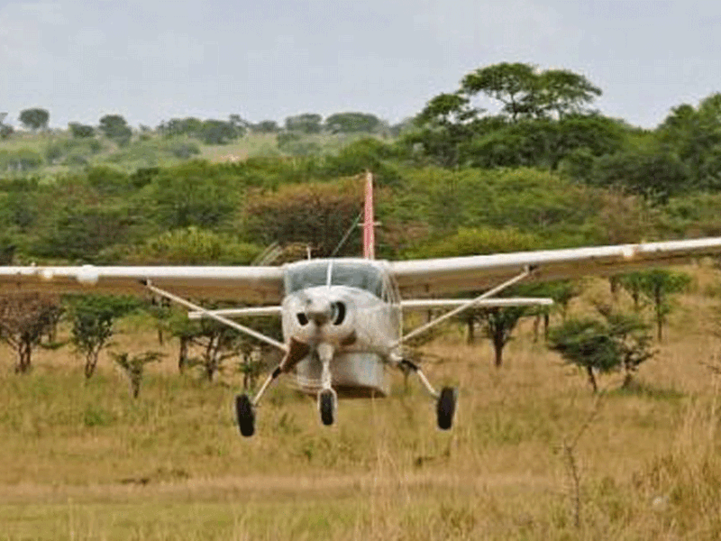 Can I Fly from Zanzibar to Serengeti