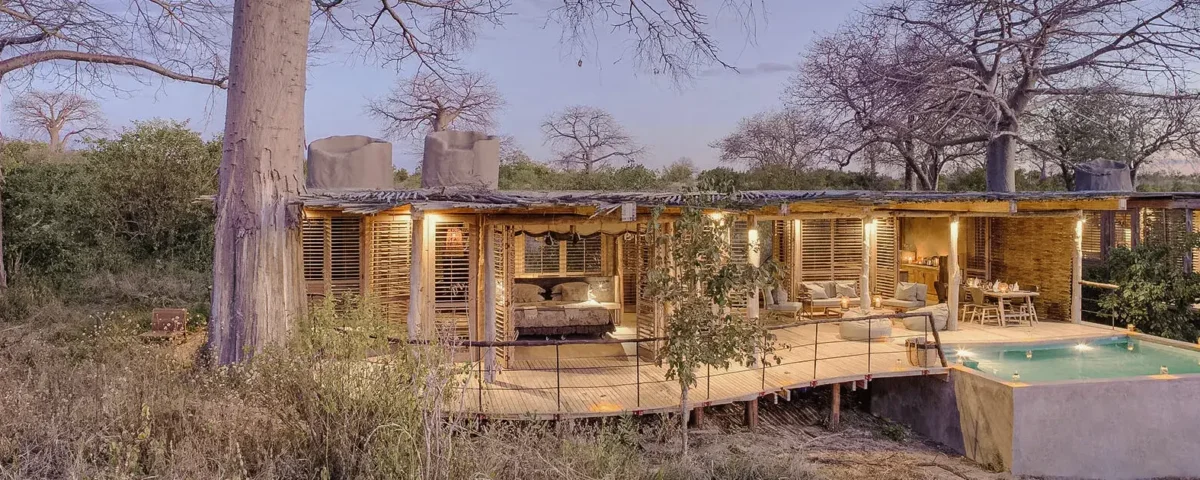 Which Are the Best Luxury Safari Lodges in Tanzania