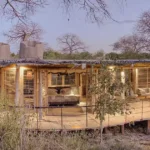 Which Are the Best Luxury Safari Lodges in Tanzania
