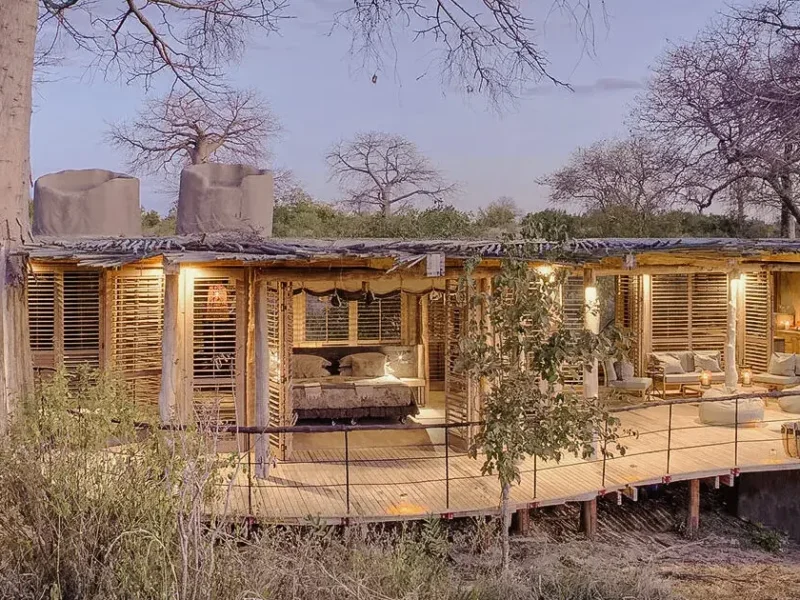 Which Are the Best Luxury Safari Lodges in Tanzania