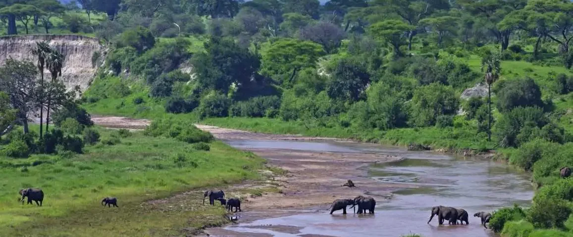Can I Visit Zanzibar and Ngorongoro Together