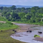 Can I Visit Zanzibar and Ngorongoro Together