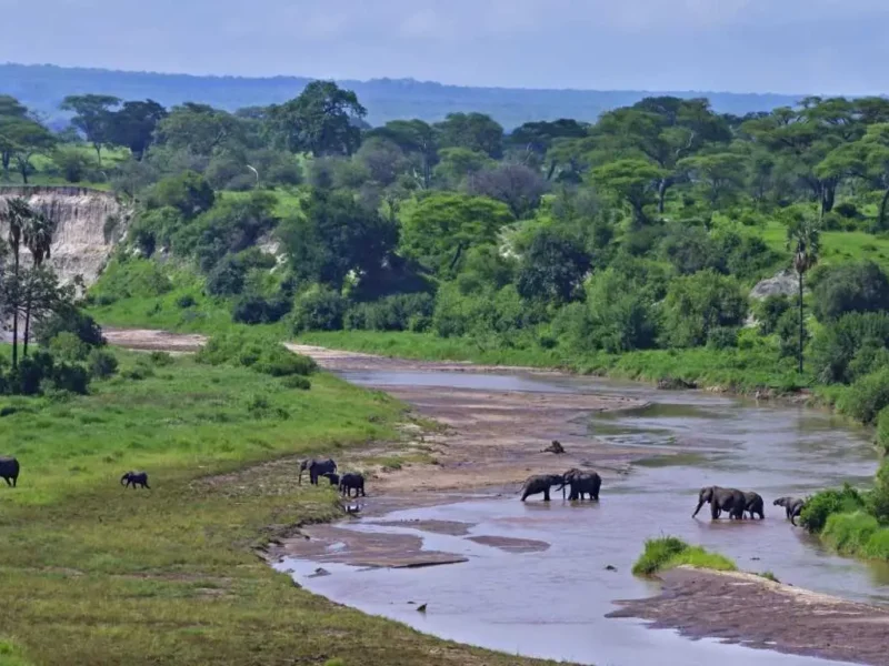 Can I Visit Zanzibar and Ngorongoro Together