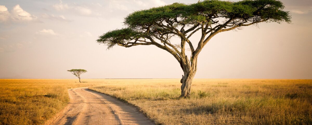 How Far Is Serengeti From Ngorongoro