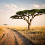 How Far Is Serengeti From Ngorongoro