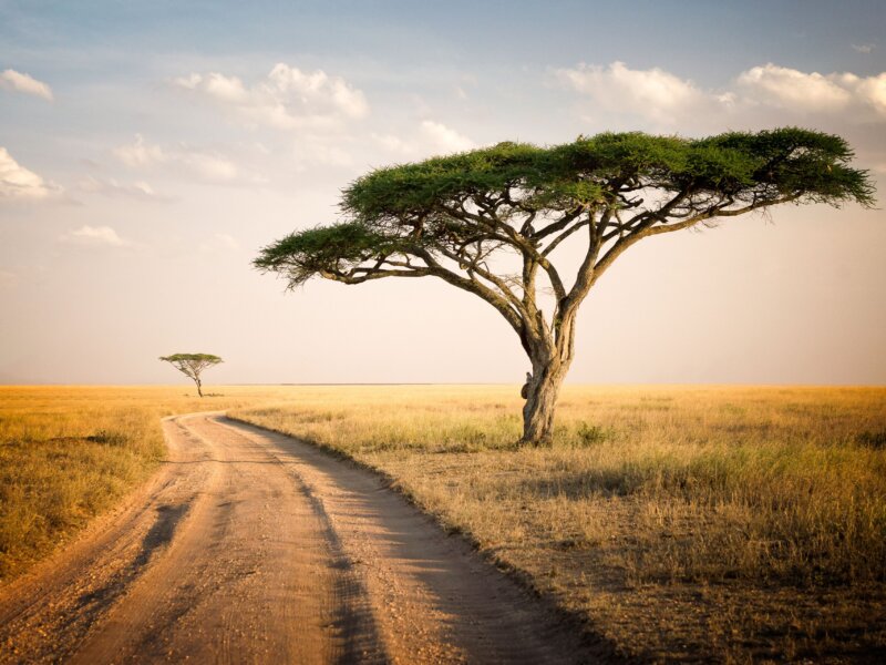 How Far Is Serengeti From Ngorongoro