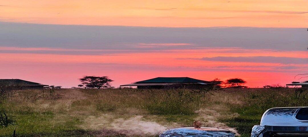 Are There Luxury Family Safaris in Tanzania
