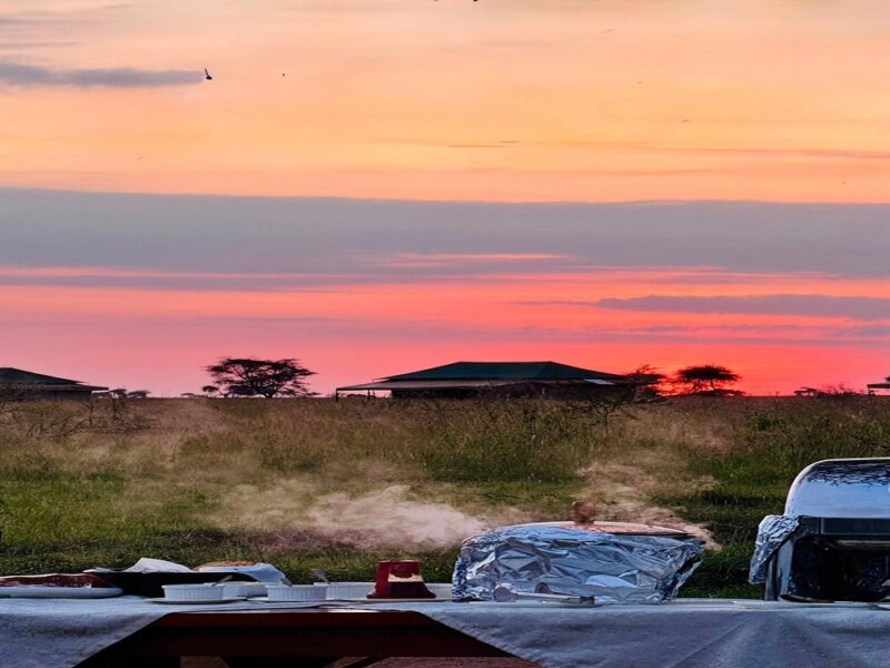 Are There Luxury Family Safaris in Tanzania