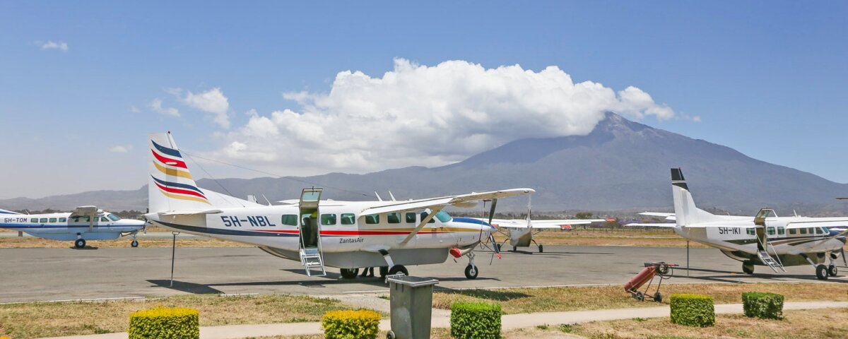 Which Airlines Fly from Zanzibar to Serengeti