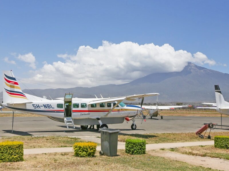 Which Airlines Fly from Zanzibar to Serengeti