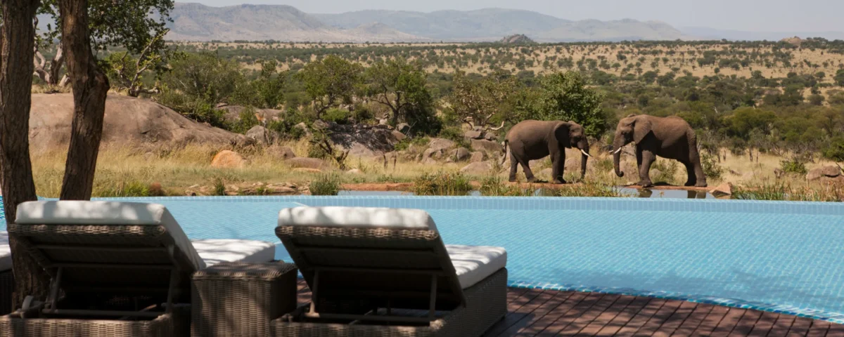 How Much Does Luxury Tanzania Safari Cost