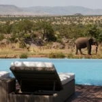 How Much Does Luxury Tanzania Safari Cost