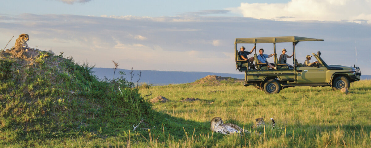 Which Tanzania Safari Gives Best Value