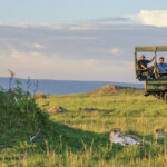 Which Tanzania Safari Gives Best Value