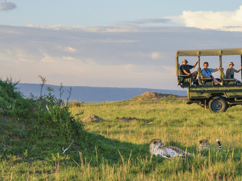 Which Tanzania Safari Gives Best Value