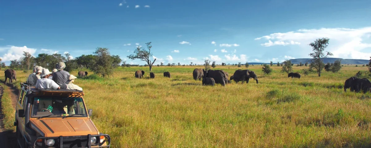 What Is Educational Safari in Tanzania