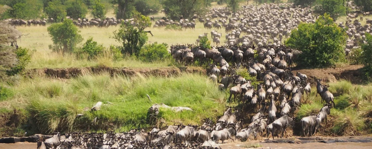When Does the Great Migration Happen