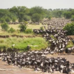 When Does the Great Migration Happen
