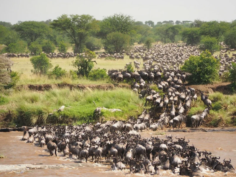 When Does the Great Migration Happen
