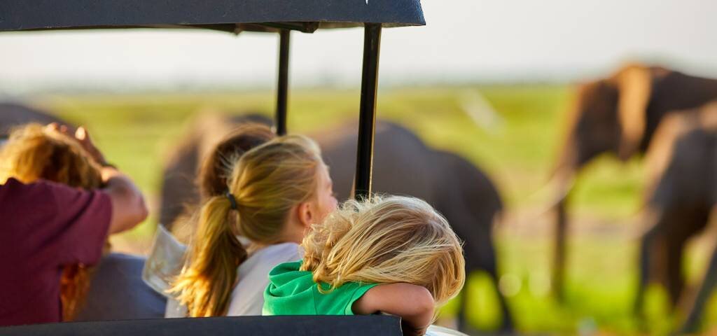 Are Family Safaris Expensive in Tanzania