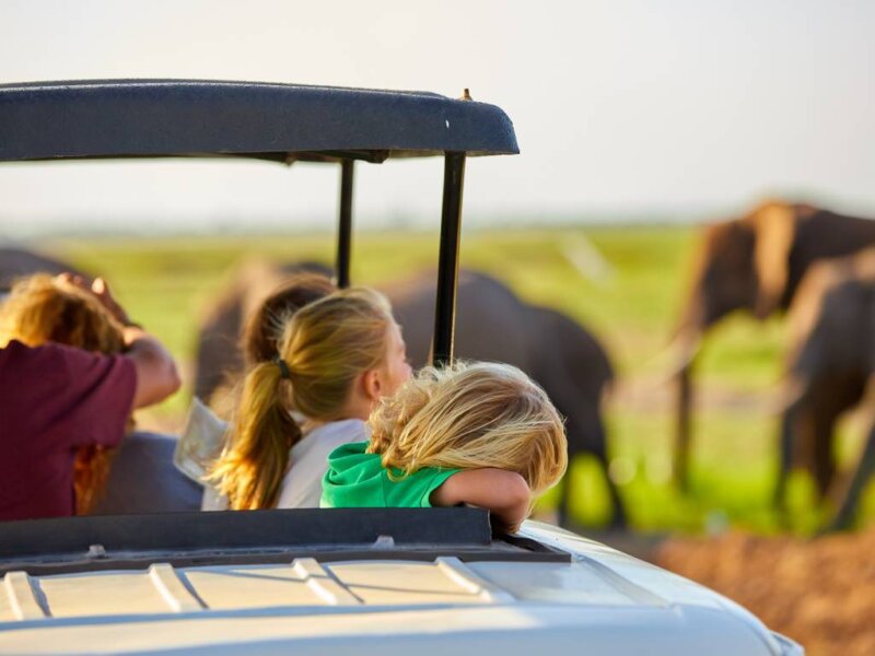Are Family Safaris Expensive in Tanzania