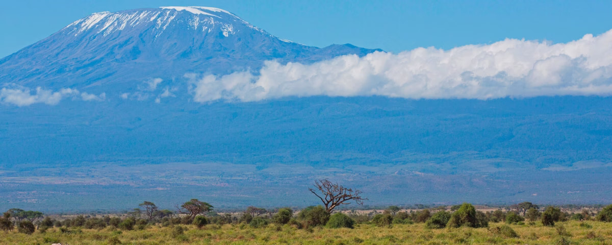 Which Safari Parks Are Near Kilimanjaro
