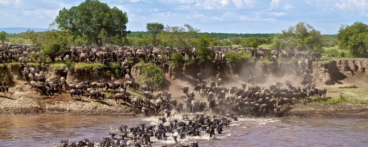 Which Side of Serengeti Is Best