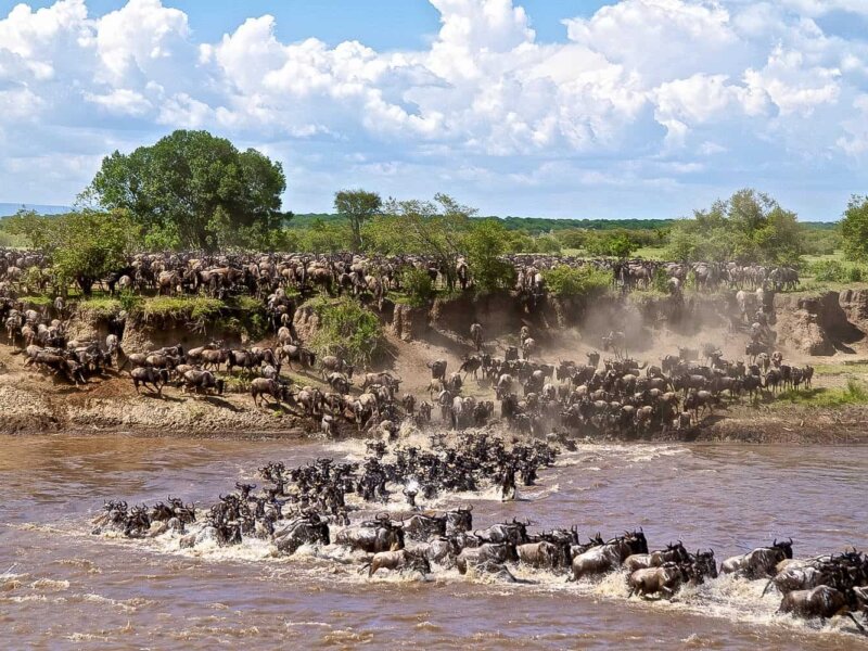 Which Side of Serengeti Is Best