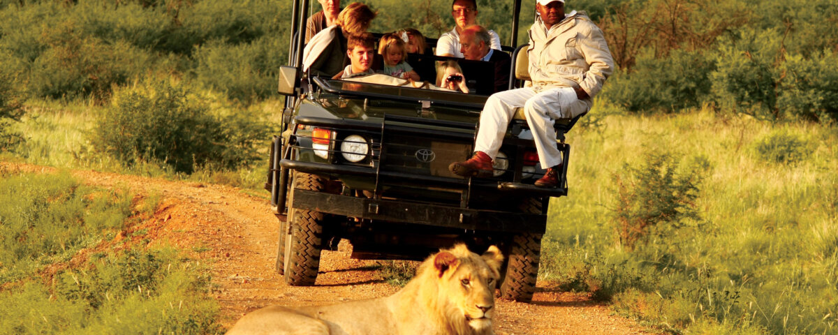 What Is the Safest Safari for Families