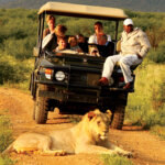 What Is the Safest Safari for Families