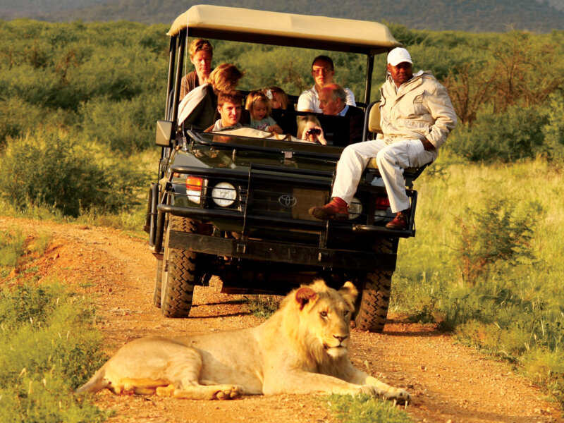 What Is the Safest Safari for Families