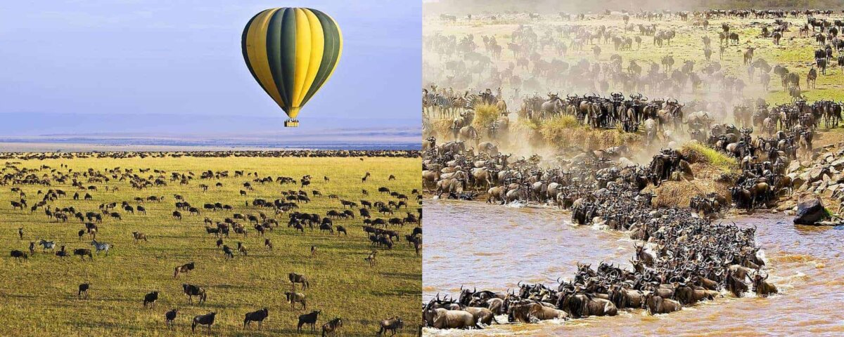 What Is the Best Migration Safari Itinerary
