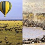What Is the Best Migration Safari Itinerary