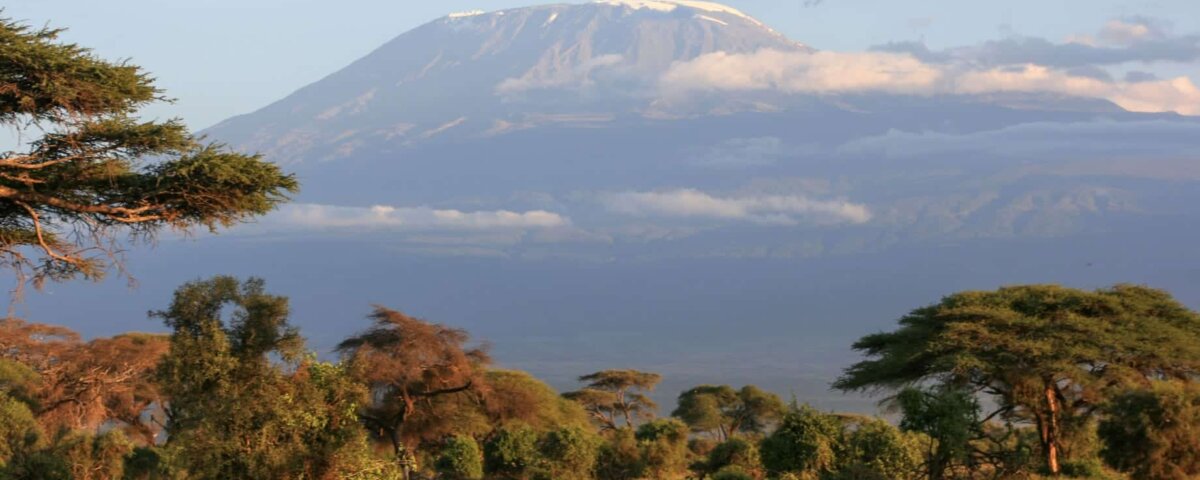 What Is the Best Kilimanjaro and Safari Package